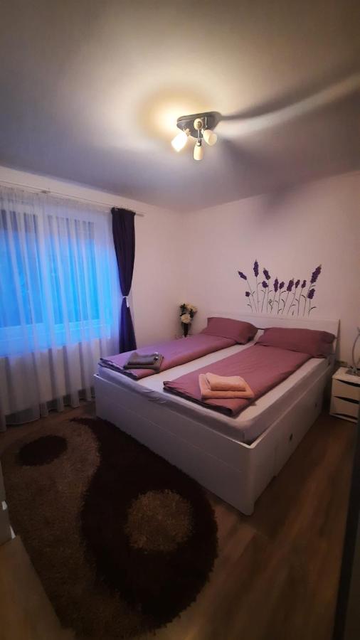 “Home Sweet Home” Sîntandrei Extérieur photo